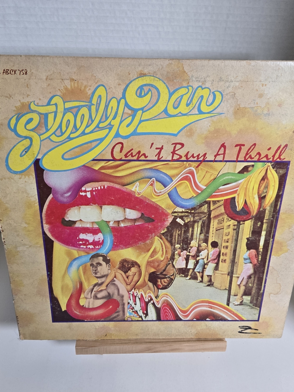 Steely Dan, Can't Buy A Thrill Vinyl Record.